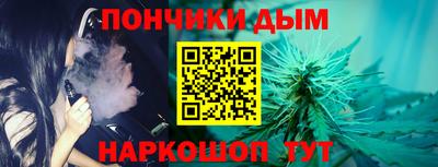 индика Нягань