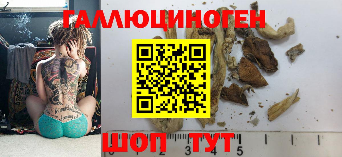 Тамбов  Галлюциногенные грибы Psilocybe  Псилоцибиновые грибы прущие грибы  Вход с VPN 